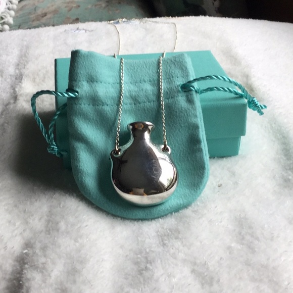 Tiffany & Co. Jewelry - Tiffany & Co Elsa Peretti large bottle necklace🌻